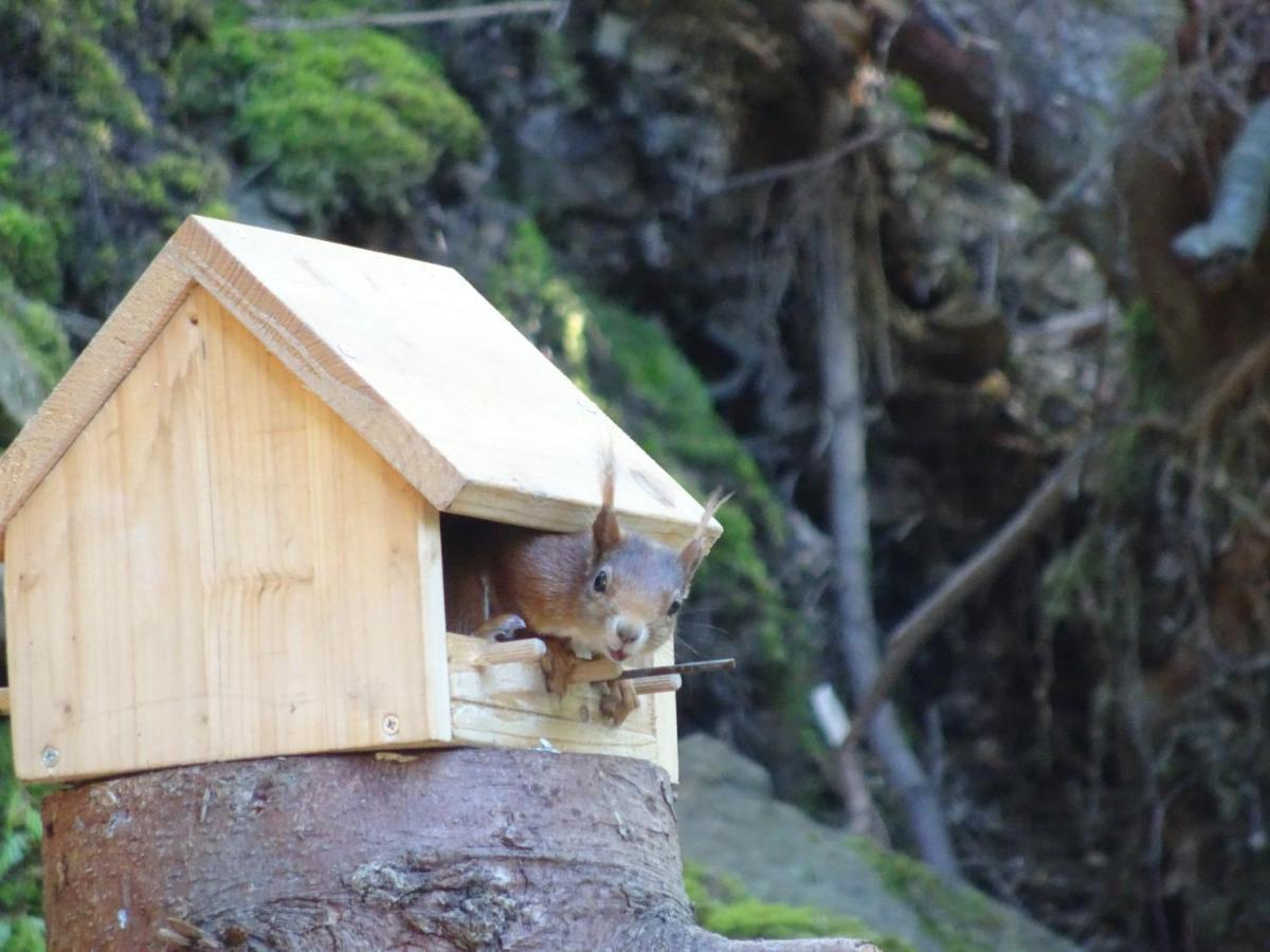 Apartamento Waldurlaub Klingelborn Im Sauerland Balve Exterior foto