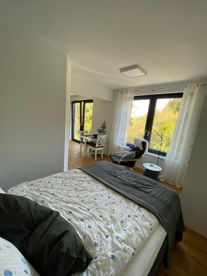 Apartamento Waldurlaub Klingelborn Im Sauerland Balve Exterior foto