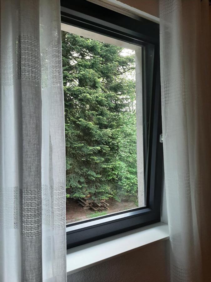 Apartamento Waldurlaub Klingelborn Im Sauerland Balve Exterior foto